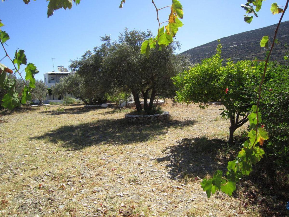 Apartament Elisso *