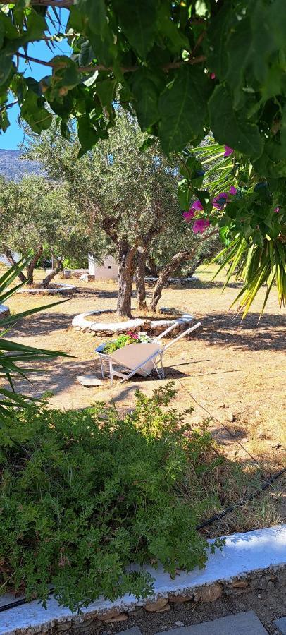 Apartament Elisso *