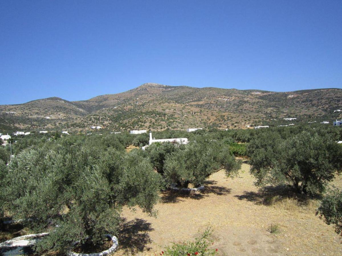 Elisso Apartment Platis Gialos (Sifnos)