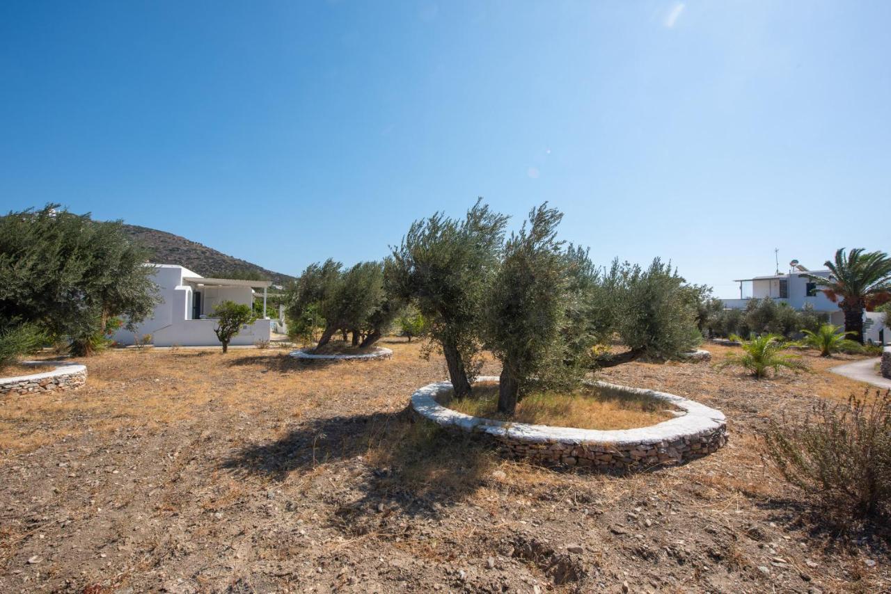 Elisso * Platis Gialos (Sifnos)
