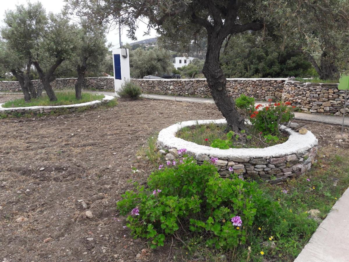 Apartament Elisso *